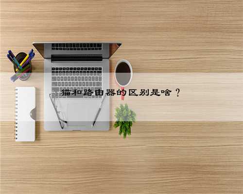 猫和路由器的区别是啥?