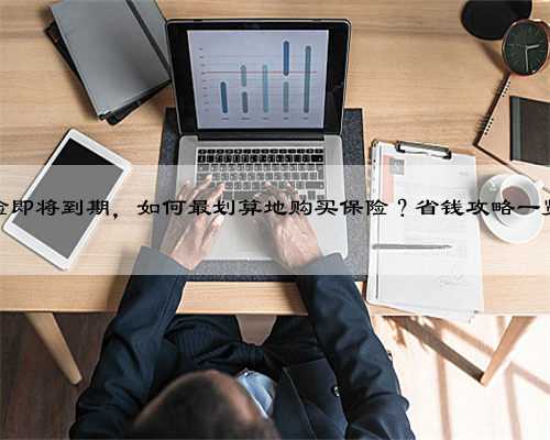 车险即将到期，如何最划算地购买保险？省钱攻略一览！