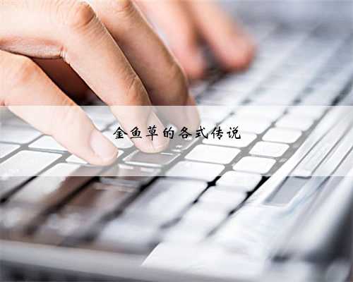 金鱼草的各式传说