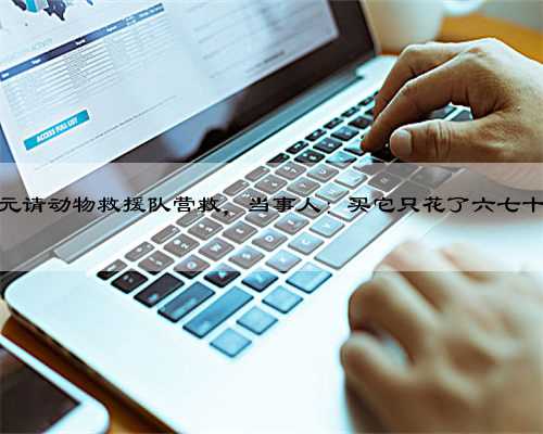 宠物仓鼠掉进下水道主人花2800元请动物救援队营救，当事人：买它只花了六七